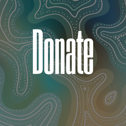 Donate $100